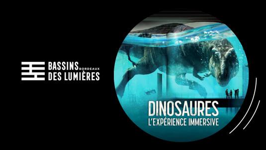  Le Bassin des lumières !